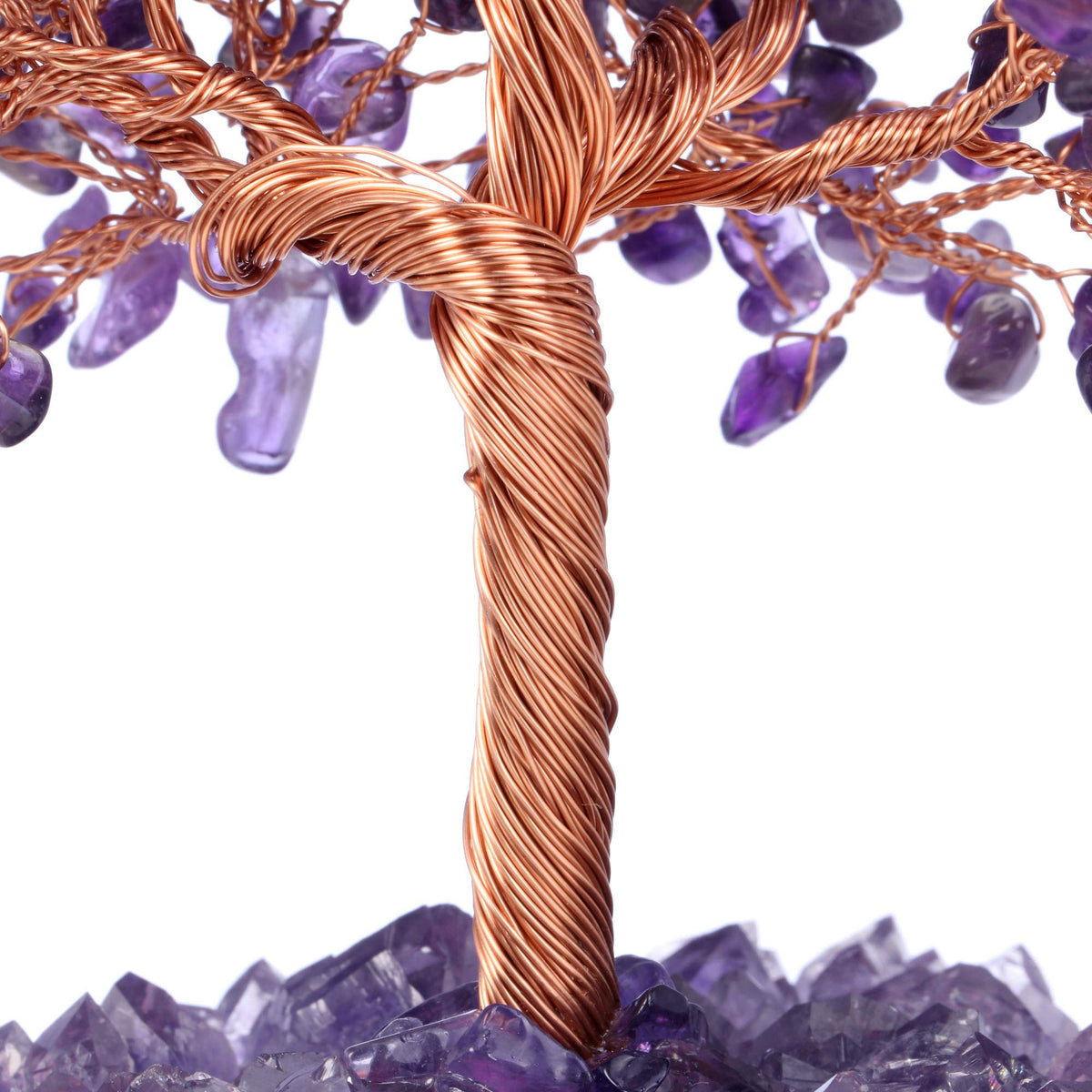 Jovivi money tree placed in living room to boost Feng Shui-inspired decor