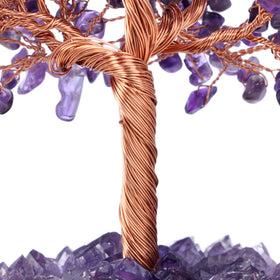 Jovivi money tree placed in living room to boost Feng Shui-inspired decor