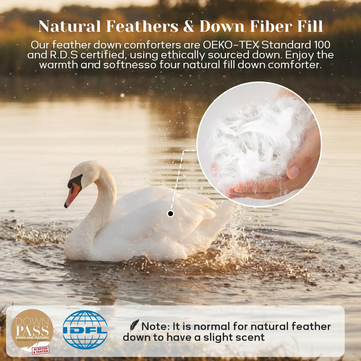 Joysoul all-season goose feather and down fill delivering balanced warmth.