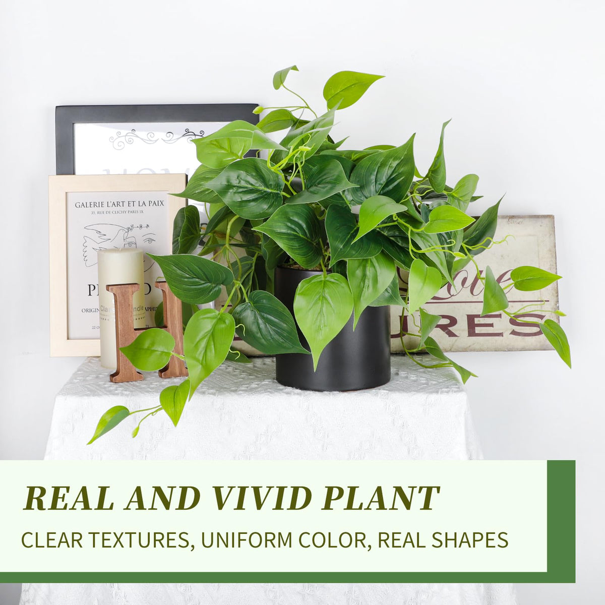JPSOR pothos iron-wire bendable stem close-up for flexible shaping without upkeep
