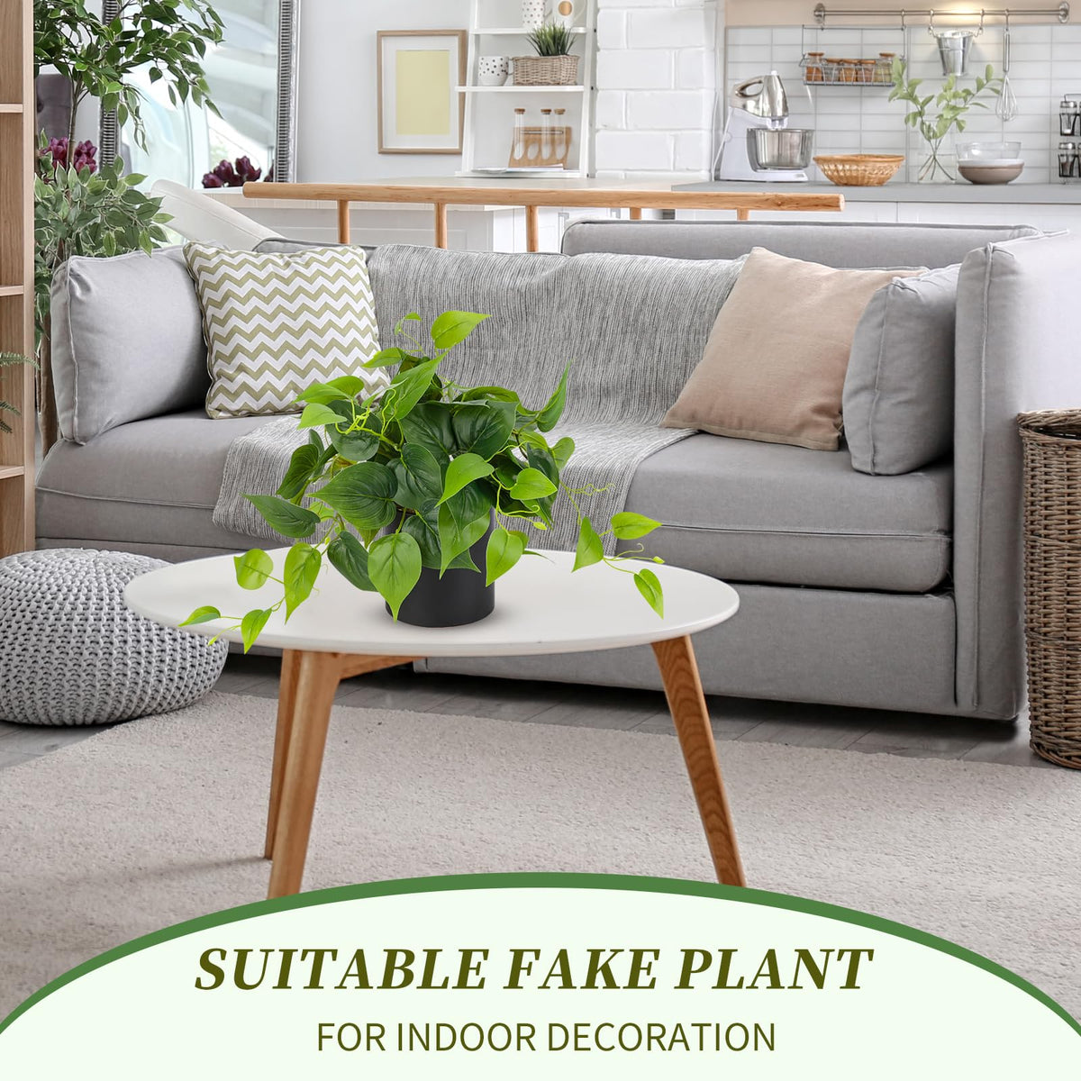JPSOR pothos living room decor setup on shelf adding a green accent and easy maintenance