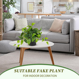 JPSOR pothos living room decor setup on shelf adding a green accent and easy maintenance