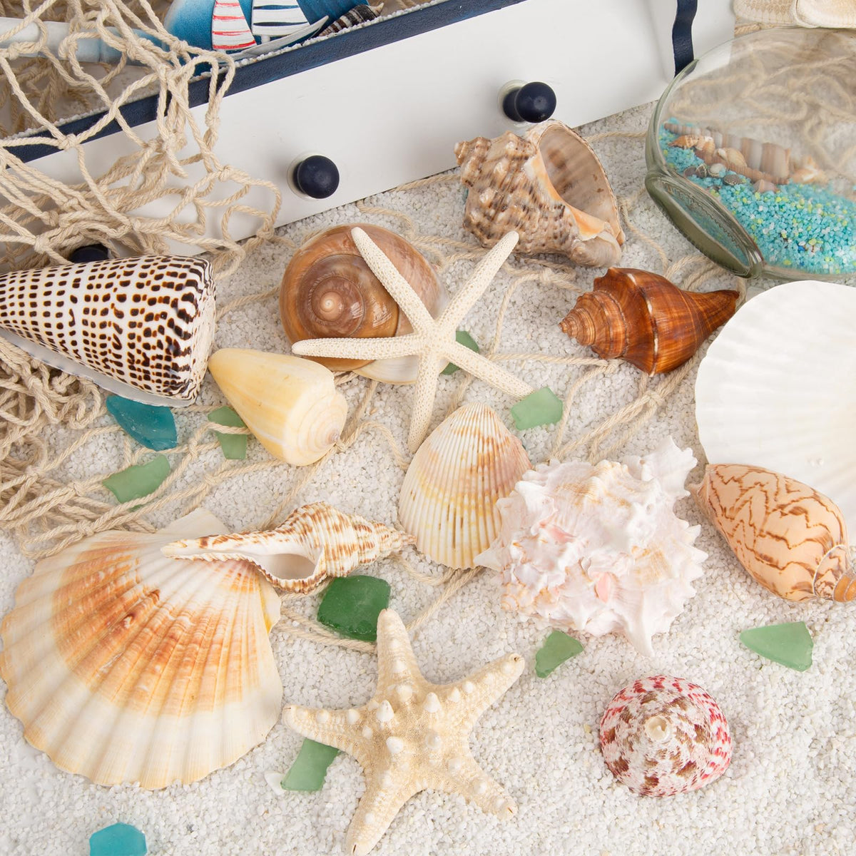 JQAQJU starfish shells note a gentle natural scent may linger