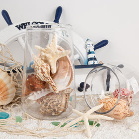 JQAQJU seashells for DIY crafts inspire natural decor ideas