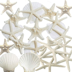 JQAQJU starfish and scallop shells 3-4 inches with pearls for coastal craft decor ideas.