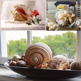 JQAQJU table scatter seashells create whimsical, photogenic settings