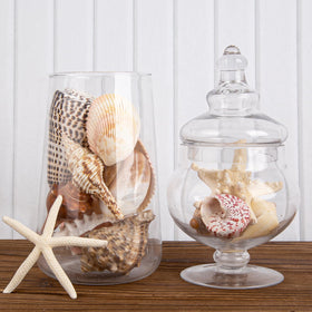 JQAQJU vase fillers seashells provide effortless coastal accents at home