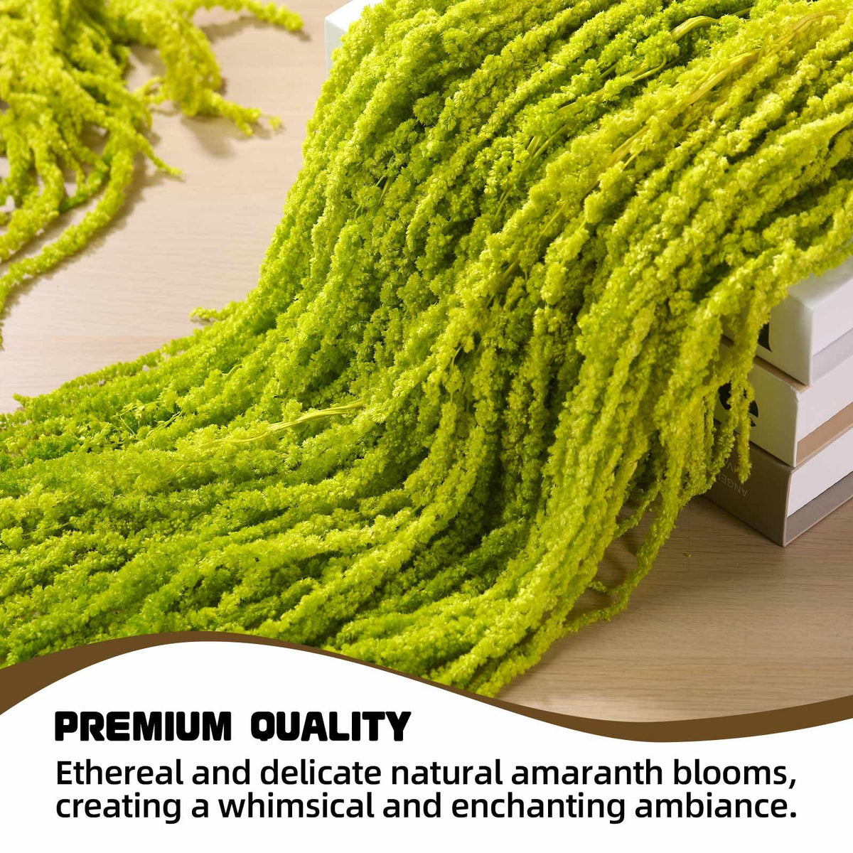 Jtoder Amaranthus care tips help preserve color and form.