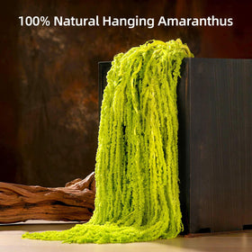 Jtoder Amaranthus stem detail captures soft preserved textures for timeless decor.