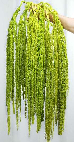 Jtoder Amaranthus waterfall hanging flowers ideal for arch decor and elegant backdrops.