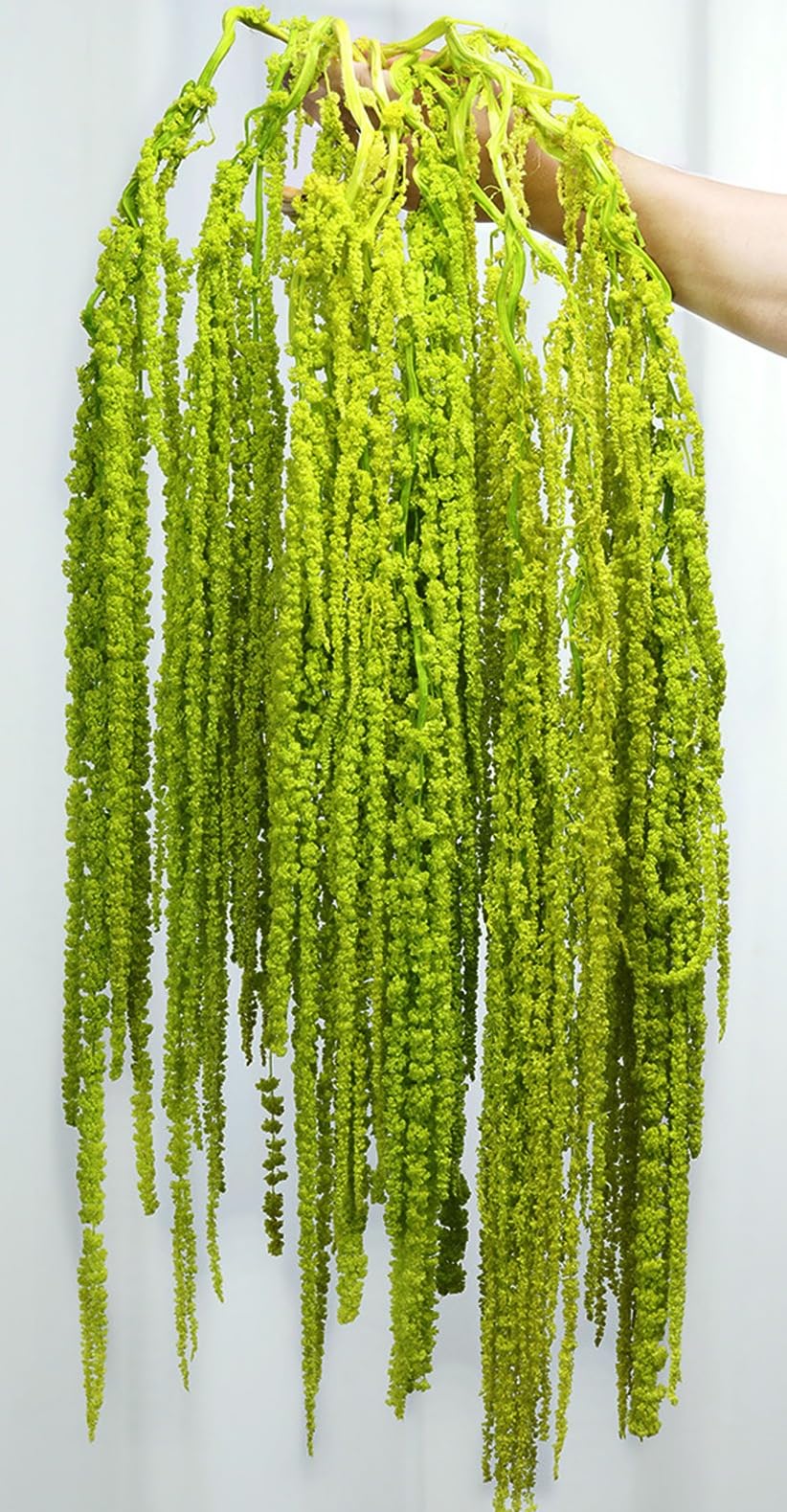 Jtoder Amaranthus waterfall hanging flowers ideal for arch decor and elegant backdrops.