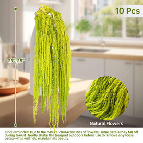 Jtoder Amaranthus wedding arch idea adds natural elegance to ceremonies.