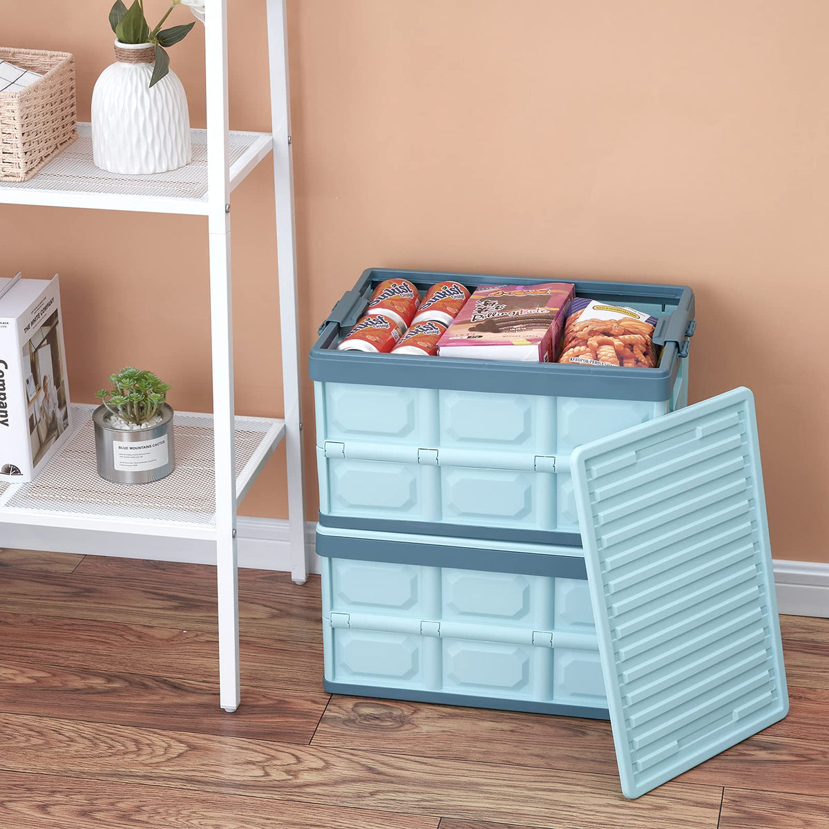 JUJIAJIA blue crate in car trunk for organization.