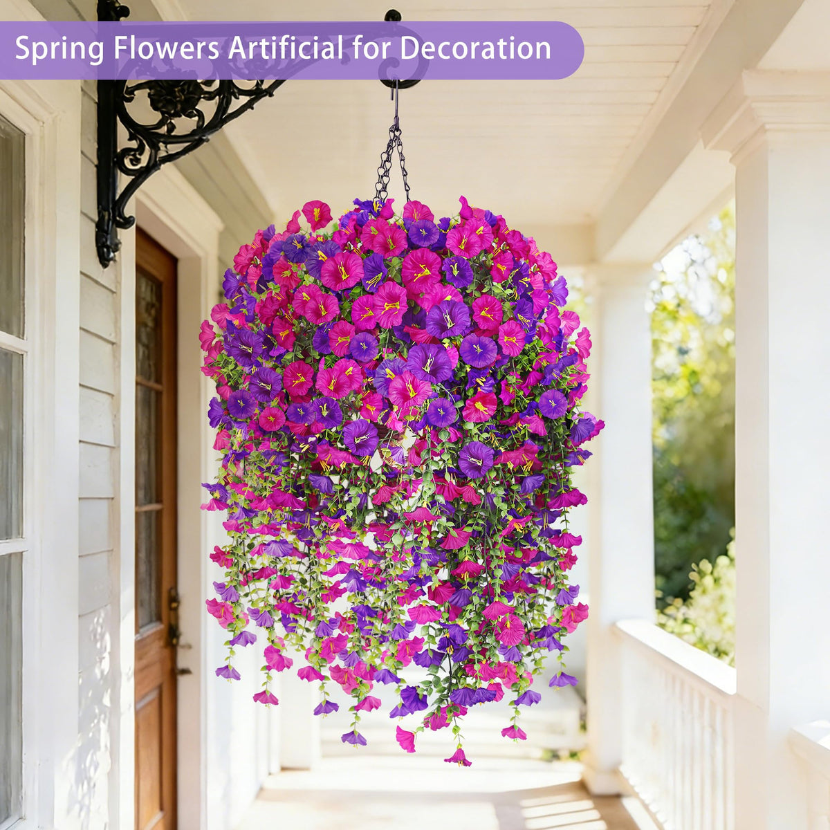 Julako 480 bloom morning glory display enhances curb appeal outdoors