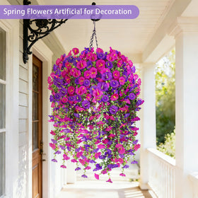 Julako 480 bloom morning glory display enhances curb appeal outdoors
