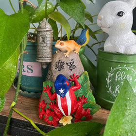 JULYSVE Puerto Rico flag motif reflects Boricua pride