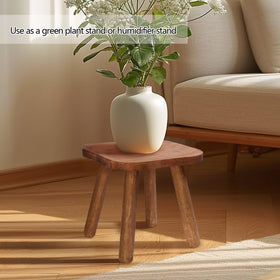 Jurath wooden step stool used as a plant stand for display