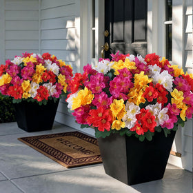 Juxdp camellia front-door bundle with lifelike color for outdoor welcome.