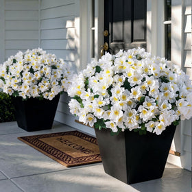 Juxdp camellia 16-bundles front-door-setup: lifelike blooms for welcoming curb appeal.
