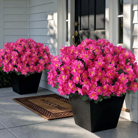 Juxdp camellia 16-bundles on front door add lush, realistic curb appeal.