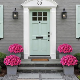 Juxdp camellia farmhouse window arrangement creates inviting interior details.