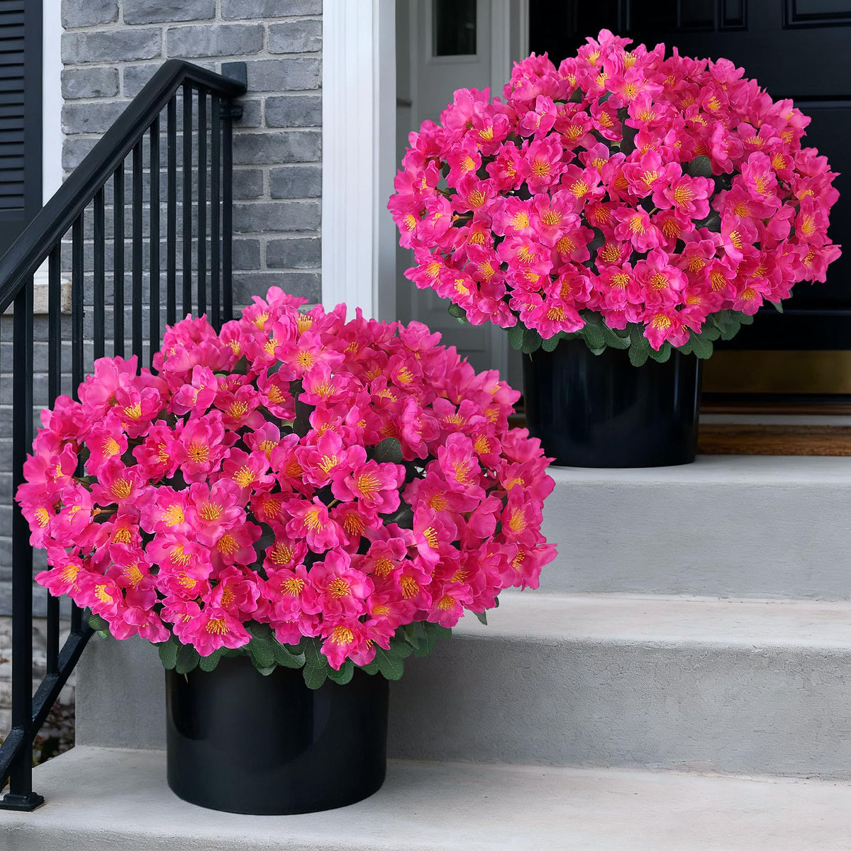 Juxdp camellia topiary ball rose red for elegant curb appeal