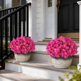 Juxdp camellia topiary ball rose red brightening porch entryways