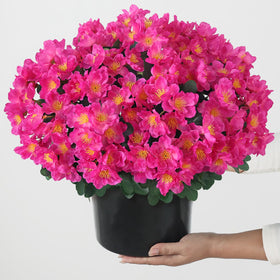 Juxdp camellia topiary ball rose red features adjustable fullness