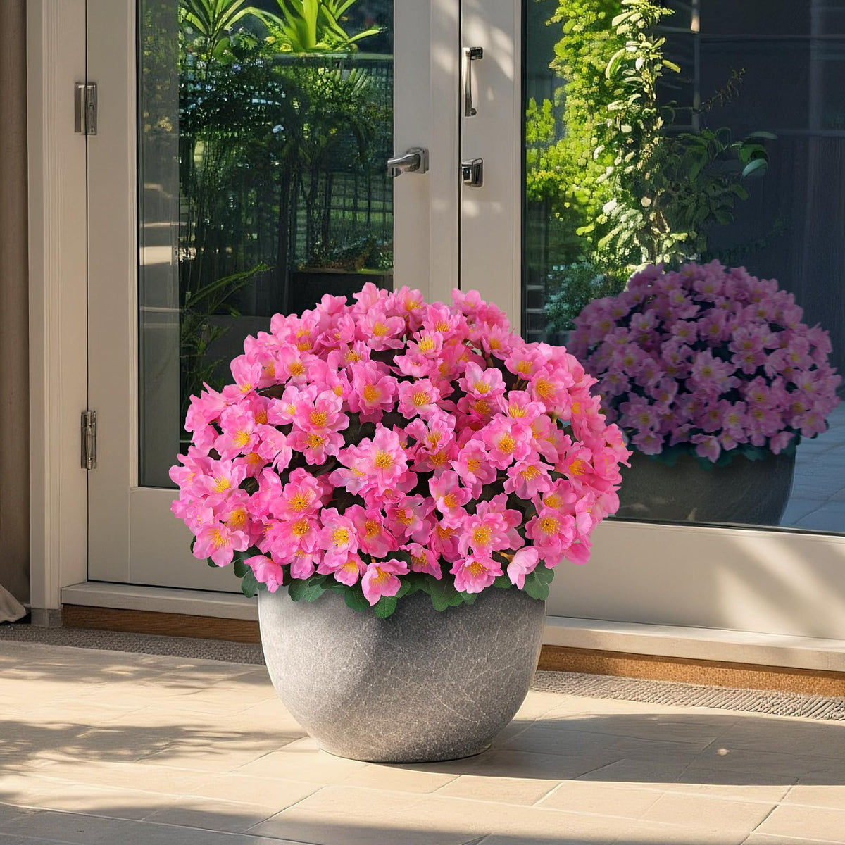 Juxdp camellia topiary ball tree pink pot close-up, sturdy planter included