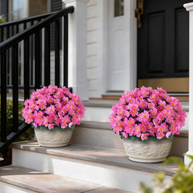 Juxdp camellia topiary ball tree pink side view, weatherproof for porch