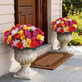 Juxdp camellia front-door arrangement showcases mixed color blooms.