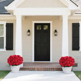 Juxdp vivid red geraniums enhance seasonal outdoor decor.