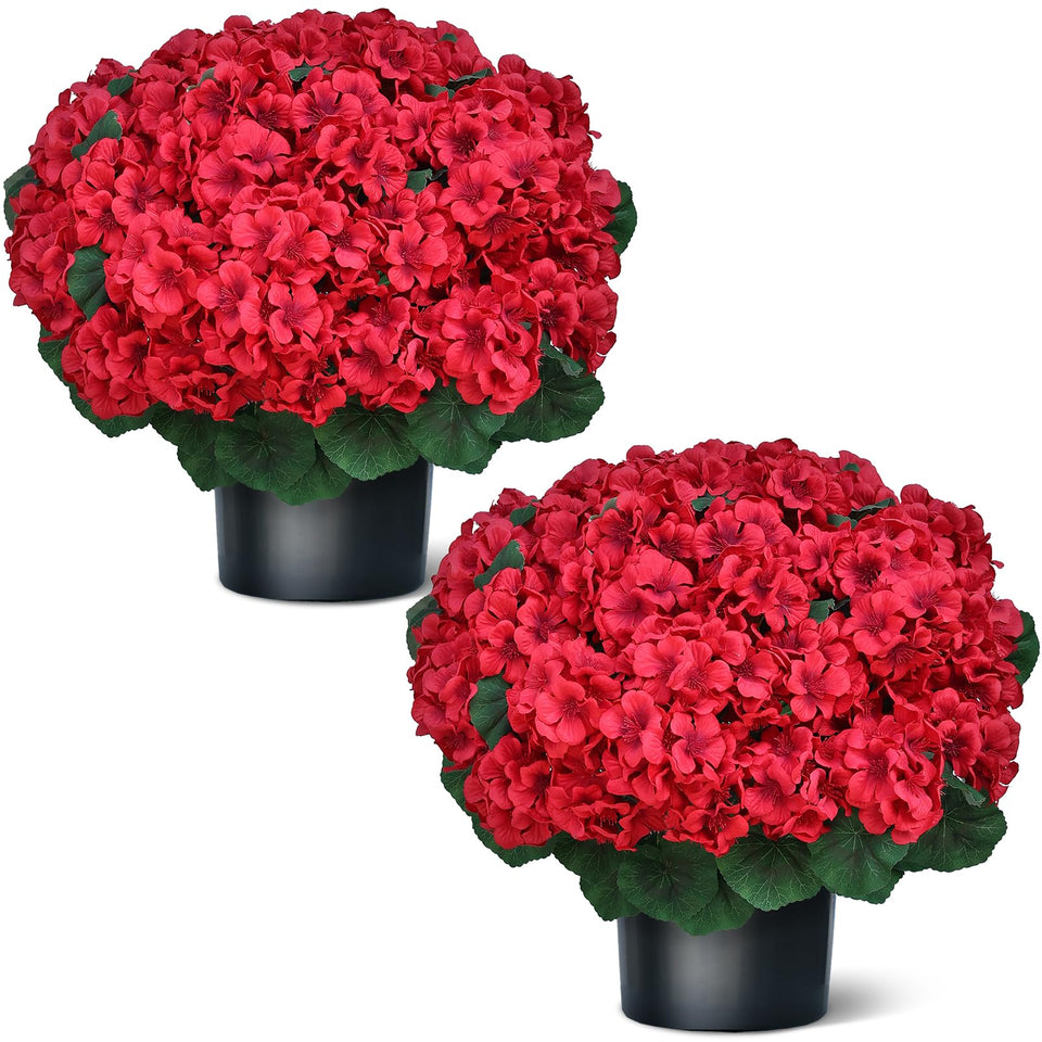 Juxdp geranium topiary 18in two-pack on porch enhances curb appeal.