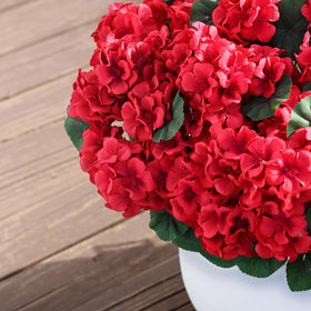 Office decor with Juxdp topiary brings color without maintenance.