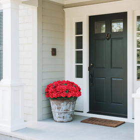 Outdoor porch setup using Juxdp topiary boosts seasonal ambiance.