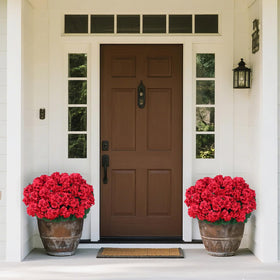 Juxdp UV-resistant geranium blooms stay bright in sunlit outdoor spaces.