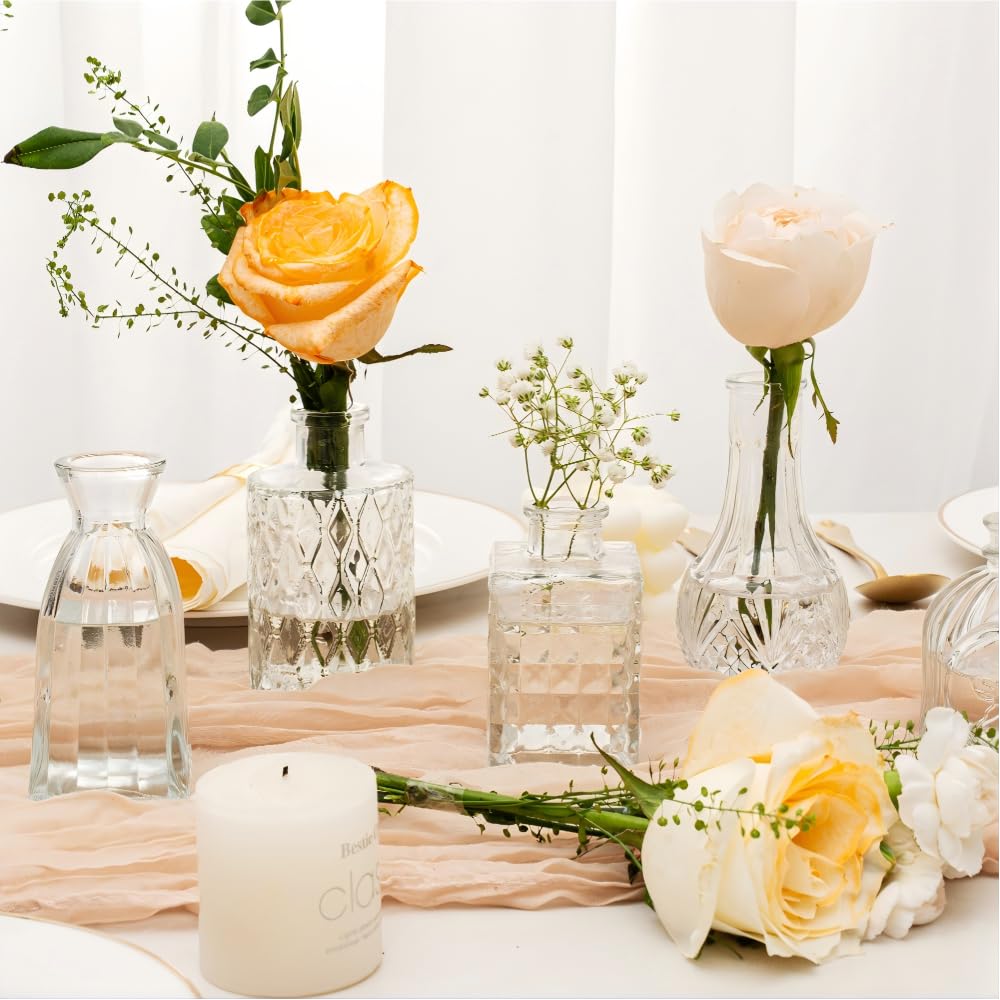 JXINDUJU glass bud vases support long-lasting display on shelves