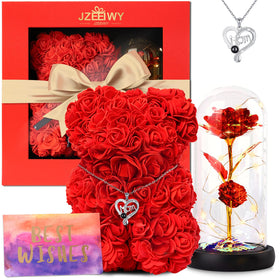 JZEEIWY rose dome with light showcasing a lasting keepsake for mom