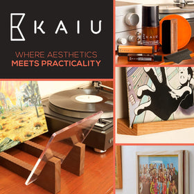 Kaiu vinyl record frame gift for vinyl lovers on birthdays or holidays.