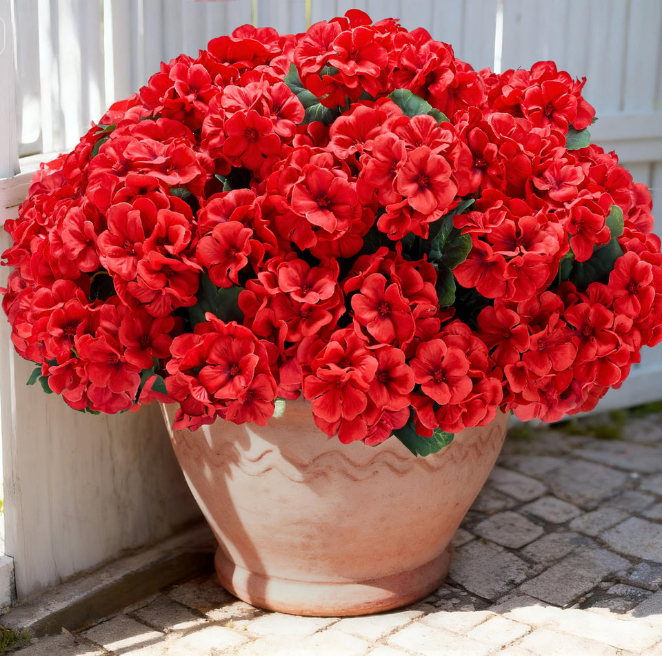 Karlliu outdoor geraniums in a 6-stem arrangement for durable porch decor.