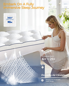 Kayfia vacuum-packed packaging eases setup and storage