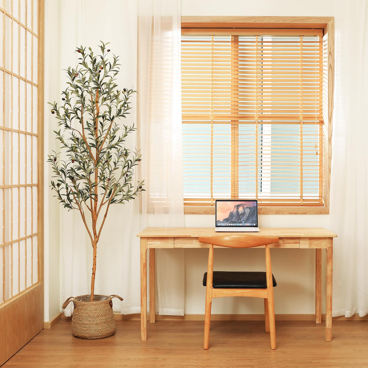 Kazeila entryway-decor scene conveys welcoming ambiance with evergreen visual appeal.