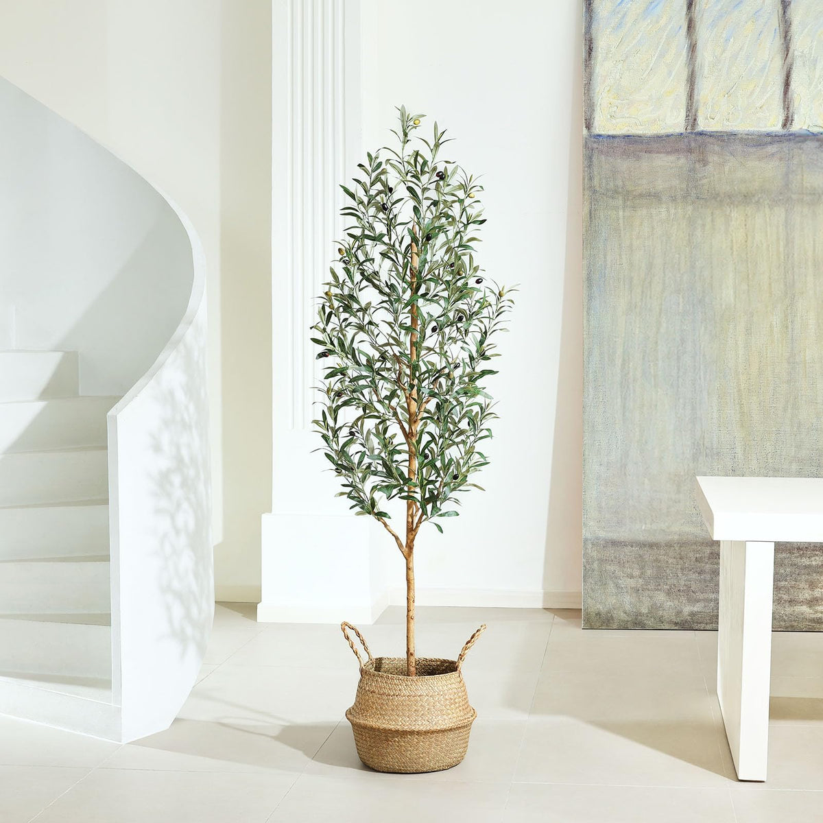 Kazeila maintenance-free olive tree offers year-round greenery