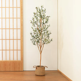 Kazeila ideal for cafes or bookstores needing lush decor