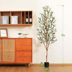 Kazeila preassembled pot keeps the display stable and ready