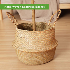 Kazeila seagrass basket included with olive tree for rustic styling