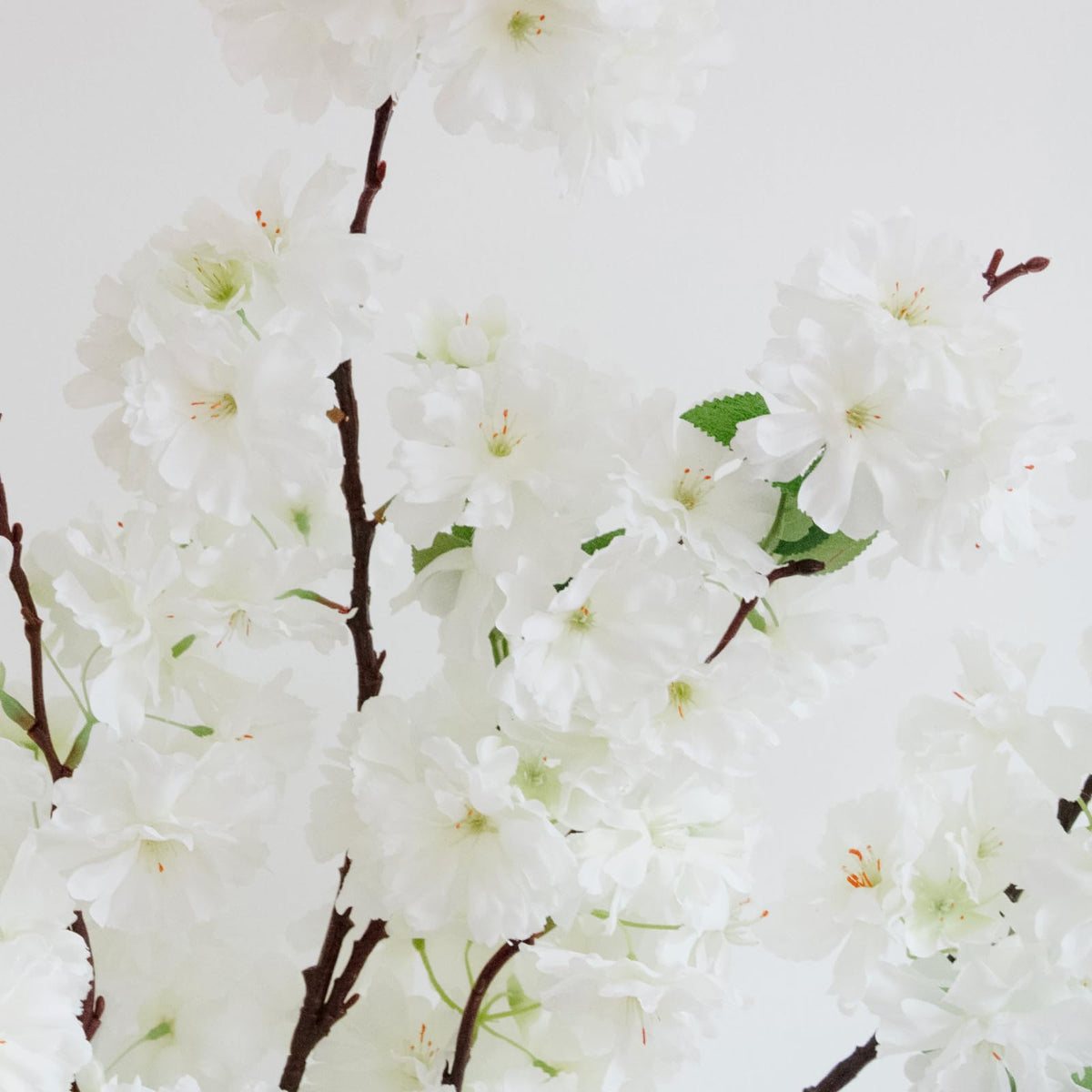 KBREE cherry blossom wall decor adds soft natural charm
