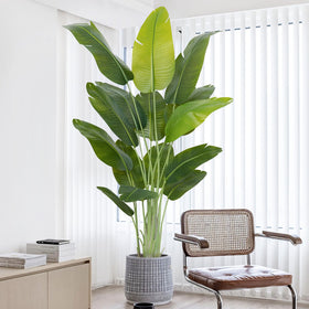 Keeplush banana leaf tree 6-6ft enhances living room with tropical ambience