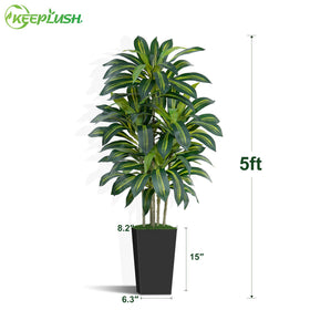 Keeplush Dracaena tree bendable stems enable natural poses and silhouette