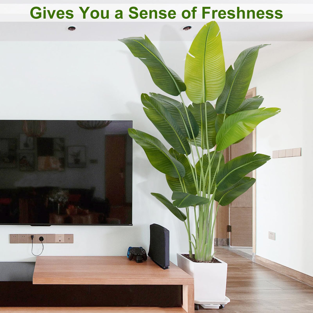 Keeplush versatile indoor décor that elevates homes, offices, and reception areas